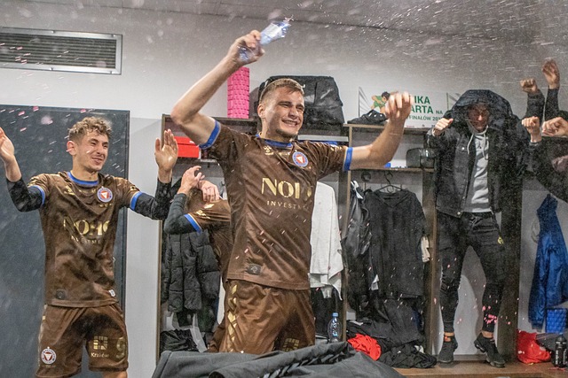 政治目的的 政治目的的