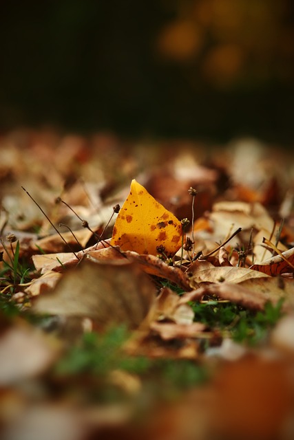 我們還可以 我們還可以