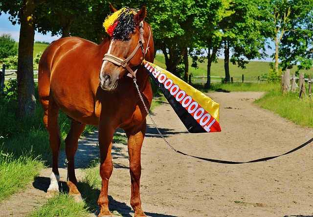 曼联历史上 曼联历史上