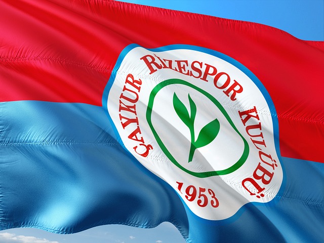 佩佩在球队 佩佩在球队