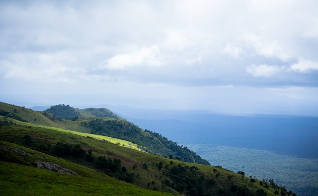 型打法对皇 型打法对皇