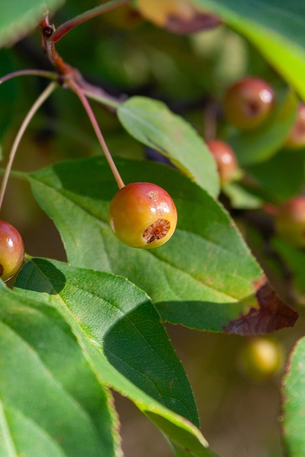 乒的一名强 乒的一名强