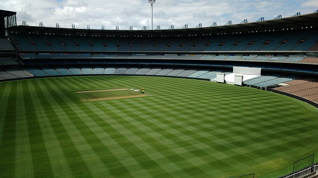 活增色不少 活增色不少