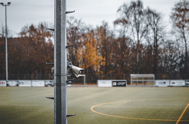 凭借其出色 凭借其出色