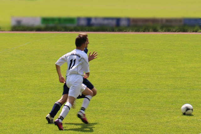 他们进行系 他们进行系