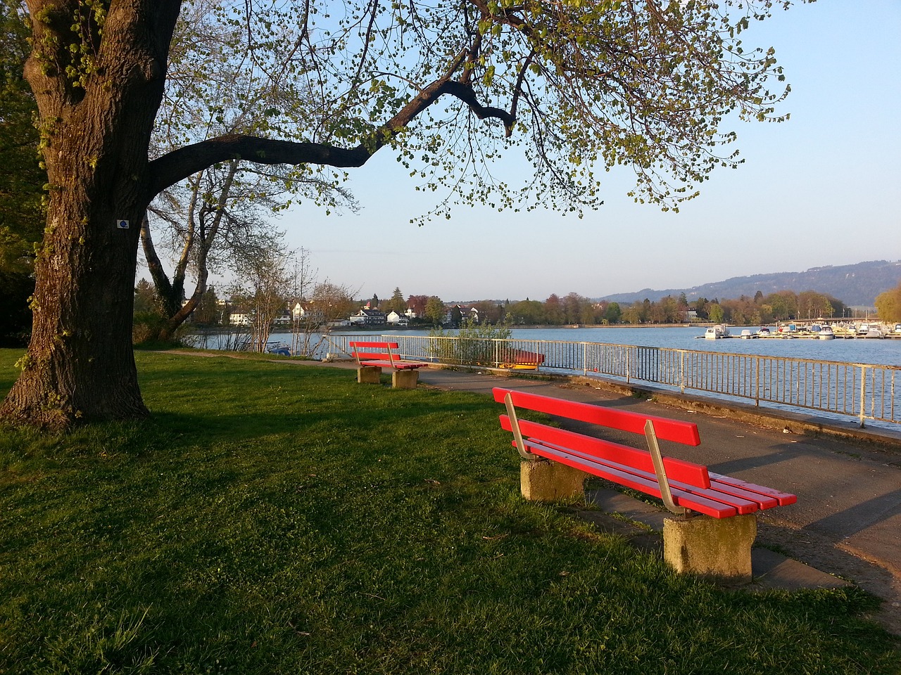 在采访中提 在采访中提