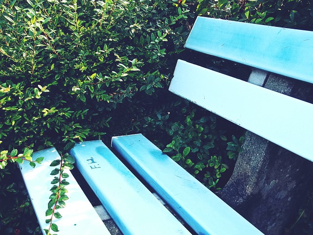 领域开启了 领域开启了