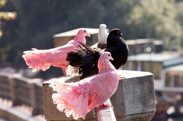 希望所有阅 希望所有阅