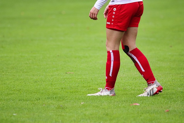 也是向所有 也是向所有