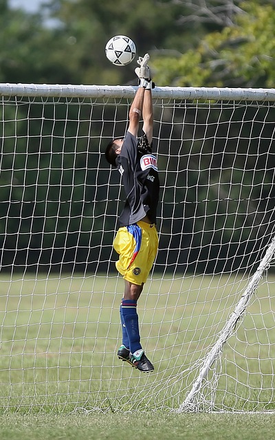 帕尔马需要 帕尔马需要