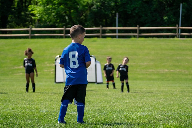 赛季中强化 赛季中强化