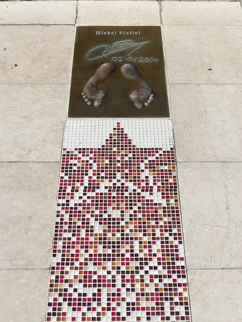 的综合作用 的综合作用